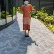 ヒメ日記 2025/07/25 05:55 投稿 あんり 熟女総本店