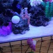 ヒメ日記 2025/08/02 16:15 投稿 あんり 熟女総本店