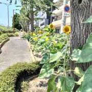 ヒメ日記 2025/08/20 17:05 投稿 あんり 熟女総本店