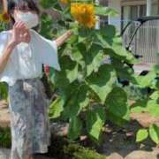 ヒメ日記 2025/08/28 07:17 投稿 あんり 熟女総本店