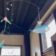 ヒメ日記 2025/09/26 18:45 投稿 あんり 熟女総本店