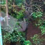 ヒメ日記 2025/09/30 19:15 投稿 あんり 熟女総本店