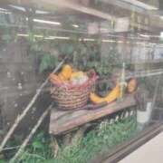 ヒメ日記 2025/10/19 23:55 投稿 あんり 熟女総本店