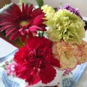 ヒメ日記 2025/11/06 14:15 投稿 あんり 熟女総本店