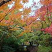 ヒメ日記 2025/11/11 17:25 投稿 あんり 熟女総本店