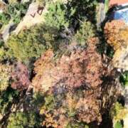 ヒメ日記 2025/11/21 18:59 投稿 あんり 熟女総本店