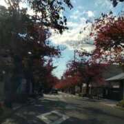 ヒメ日記 2025/11/23 00:35 投稿 あんり 熟女総本店