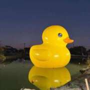 ヒメ日記 2025/11/26 17:26 投稿 あんり 熟女総本店