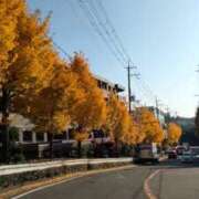 ヒメ日記 2025/11/27 14:35 投稿 あんり 熟女総本店