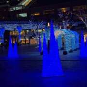 ヒメ日記 2025/11/28 17:20 投稿 あんり 熟女総本店