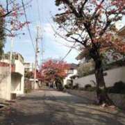 ヒメ日記 2025/11/29 16:28 投稿 あんり 熟女総本店