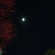 ヒメ日記 2025/12/02 17:18 投稿 あんり 熟女総本店