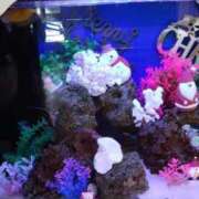 あんり お天気スッキリ!✨✨ヨカッタ🤗 熟女総本店