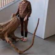 ヒメ日記 2026/01/25 10:32 投稿 あんり 熟女総本店