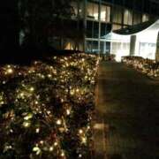 ヒメ日記 2026/01/31 06:02 投稿 あんり 熟女総本店