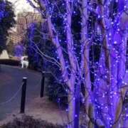 ヒメ日記 2026/02/05 17:12 投稿 あんり 熟女総本店