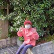 ヒメ日記 2026/02/26 08:52 投稿 あんり 熟女総本店