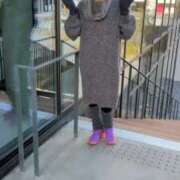 ヒメ日記 2026/03/08 08:12 投稿 あんり 熟女総本店