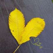 野村 みおん 2024年もありがとうございました。 30代40代50代と遊ぶなら博多人妻専科24時