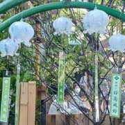 ヒメ日記 2025/05/26 20:46 投稿 吉村 熟女の風俗最終章　鶯谷店