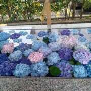 ヒメ日記 2025/06/09 15:16 投稿 吉村 熟女の風俗最終章　鶯谷店