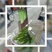 ヒメ日記 2025/08/24 08:26 投稿 吉村 熟女の風俗最終章　鶯谷店