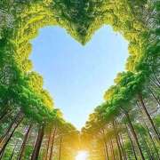 ヒメ日記 2025/11/17 19:17 投稿 吉村 熟女の風俗最終章　鶯谷店