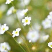 ヒメ日記 2026/01/05 14:58 投稿 吉村 熟女の風俗最終章　鶯谷店