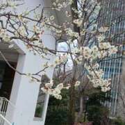 ヒメ日記 2026/02/19 21:36 投稿 吉村 熟女の風俗最終章　鶯谷店