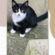 ヒメ日記 2025/01/31 21:10 投稿 あずみ プレジデントオアシス