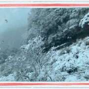 ヒメ日記 2025/03/09 21:31 投稿 あずみ プレジデントオアシス