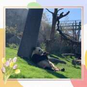 ヒメ日記 2025/05/02 00:23 投稿 あずみ プレジデントオアシス