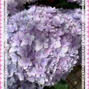 ヒメ日記 2025/06/05 20:13 投稿 あずみ プレジデントオアシス