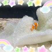 あずみ 今月も🙏🏻🌱 プレジデントオアシス