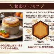 あずみ 秘密のトリセツ・あずみちゃん プレジデントオアシス