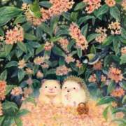 ヒメ日記 2026/10/11 22:12 投稿 あずみ プレジデントオアシス