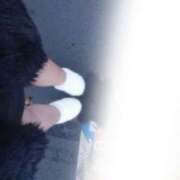 ヒメ日記 2025/08/20 19:11 投稿 める 大人の遊園地