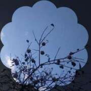 ヒメ日記 2024/12/14 21:09 投稿 広末 ローズマリー大塚