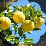 ヒメ日記 2024/12/21 21:09 投稿 広末 ローズマリー大塚