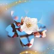 ヒメ日記 2025/01/03 21:19 投稿 広末 ローズマリー大塚