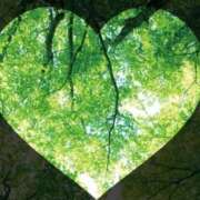 ヒメ日記 2025/06/06 21:24 投稿 広末 ローズマリー大塚