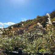 ヒメ日記 2025/08/29 21:24 投稿 広末 ローズマリー大塚