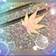 ヒメ日記 2025/10/03 21:24 投稿 広末 ローズマリー大塚