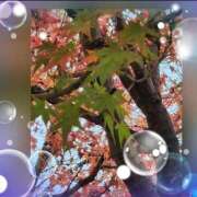 ヒメ日記 2025/10/07 21:24 投稿 広末 ローズマリー大塚