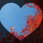 ヒメ日記 2025/10/10 21:16 投稿 広末 ローズマリー大塚