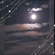 ヒメ日記 2025/11/02 21:44 投稿 広末 ローズマリー大塚