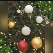 ヒメ日記 2025/11/07 21:14 投稿 広末 ローズマリー大塚