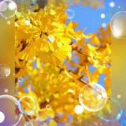 ヒメ日記 2025/11/21 21:24 投稿 広末 ローズマリー大塚