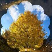 広末 こんばんは ローズマリー大塚