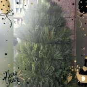 広末 こんばんは ローズマリー大塚